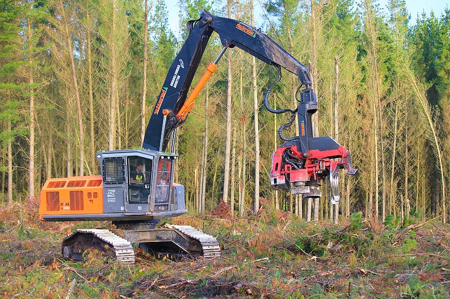 Sklizeň stromů, těžké strojírenství, lesnictví