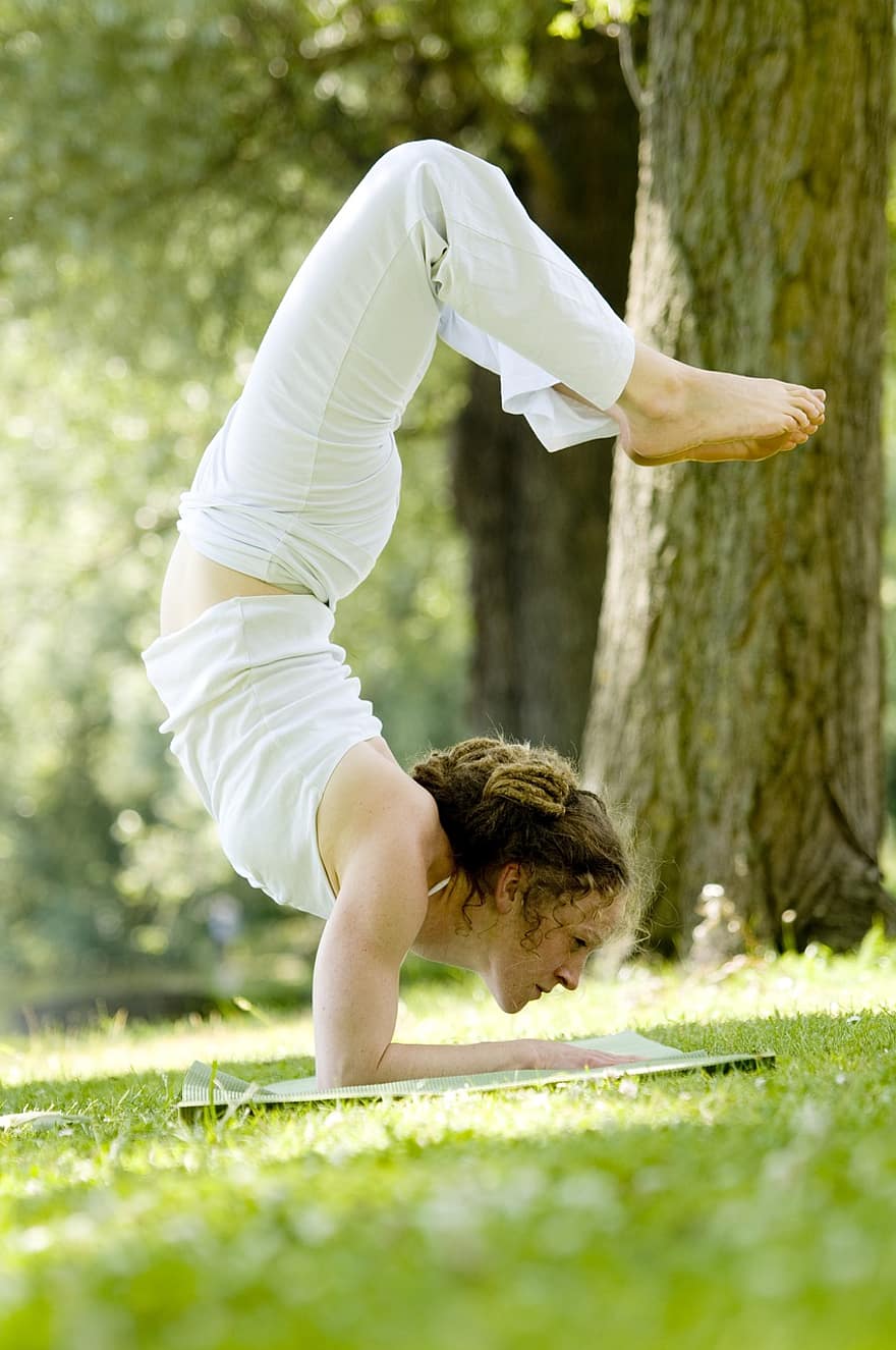 yoga, asana, meditasjon, sport, trening, konsentrasjon, avslapning, muskel, tøye ut, holdning, posere