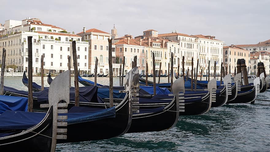 båtar, resa, turism, Venedig, gondoler, Italien, dogana