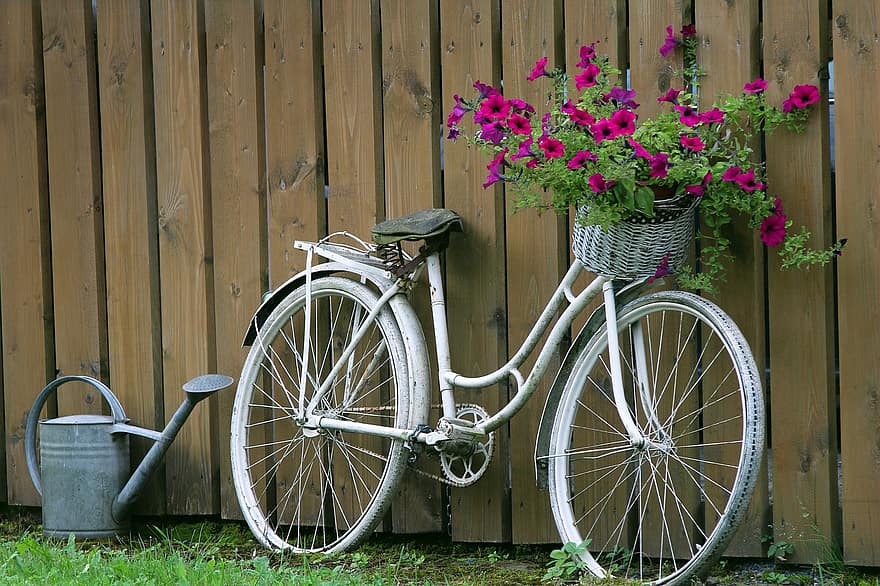 giardino, bicicletta, fiore, giro, letto di fiori, annaffiatoio, bidone, estate, legna, ruota, cestino