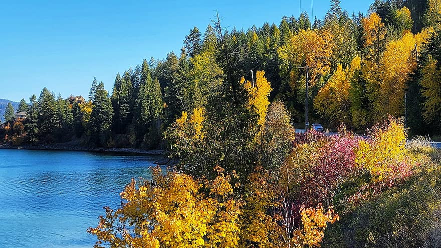 가을, 호수, 자연, 경치, 숲, 노랑, 나무, 잎, 시즌, 멀티 컬러, 푸른