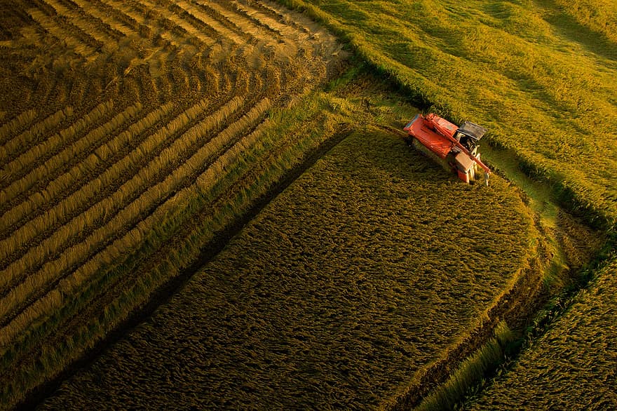 Farm, Da Nang, Agriculture, Arable Land, Fields, Farming, Plantation, Harvest, Harvesting, Combine Tractor, Aerial View