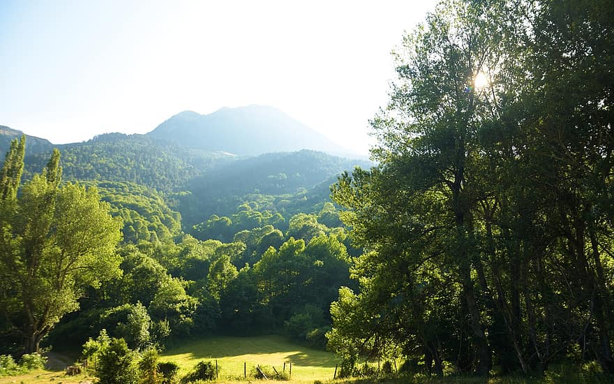 ภูเขา, ป่า, ภูมิประเทศ, พระอาทิตย์ขึ้น, ธรรมชาติ, สนาม, บึง, ต้นไม้, เซเน็ต, Lleida, Pyrenees
