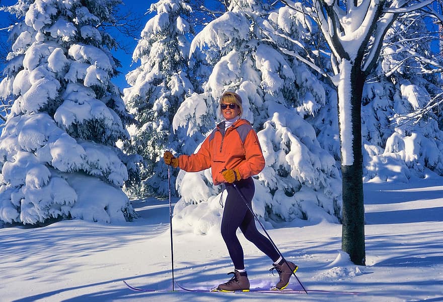 Skiing, Winter, Snow, Forest, Nature, Girl, Skier, Ski, Landscape, Efi, Trees