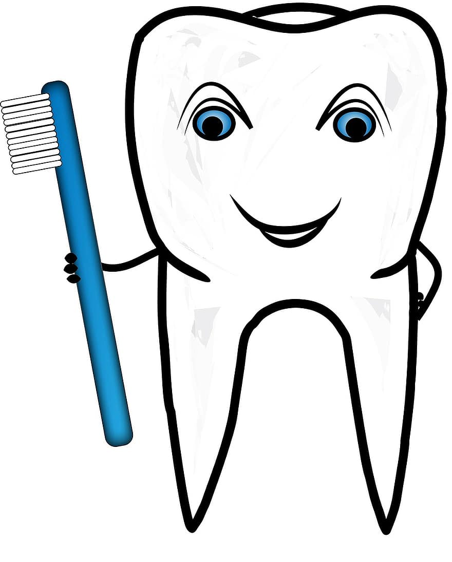 tecknad serie, dental, tandvård, hälsosam, hälsa, hygien, medicin, munhälsa, leende, stiliserade, tand