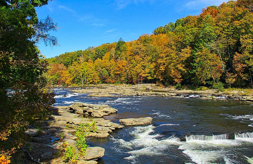 řeka, podzim, Příroda, stromy