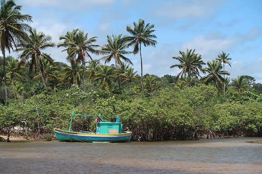 barca, mar, bahia, brasile, alberi di cocco, viaggio, alberi, natura