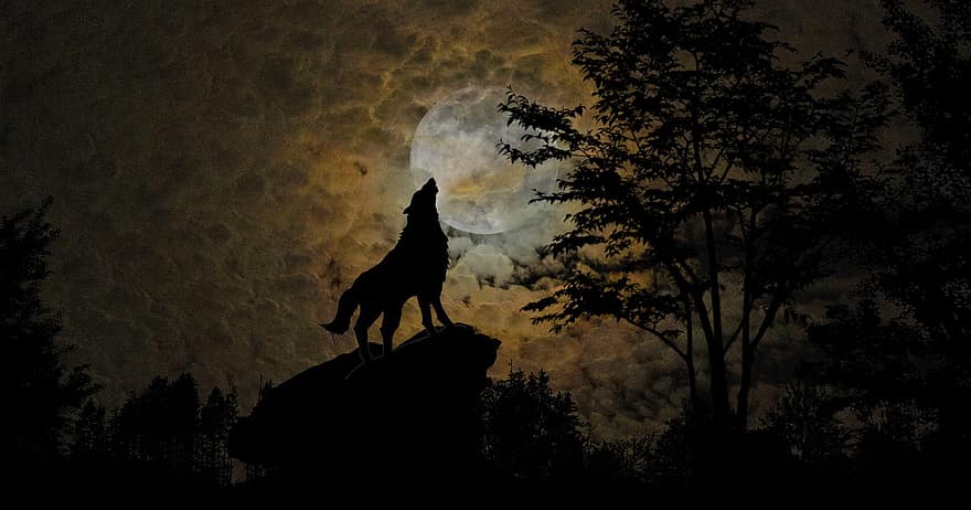 lobo, hombre-lobo, aullido, Luna, bosque, silueta, Noche, fantasía, Luna llena, luz de la luna, noche