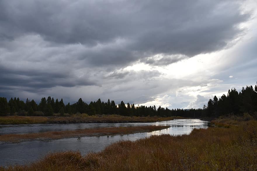 río, arboles, bosque, reflexión, Montana, paisaje