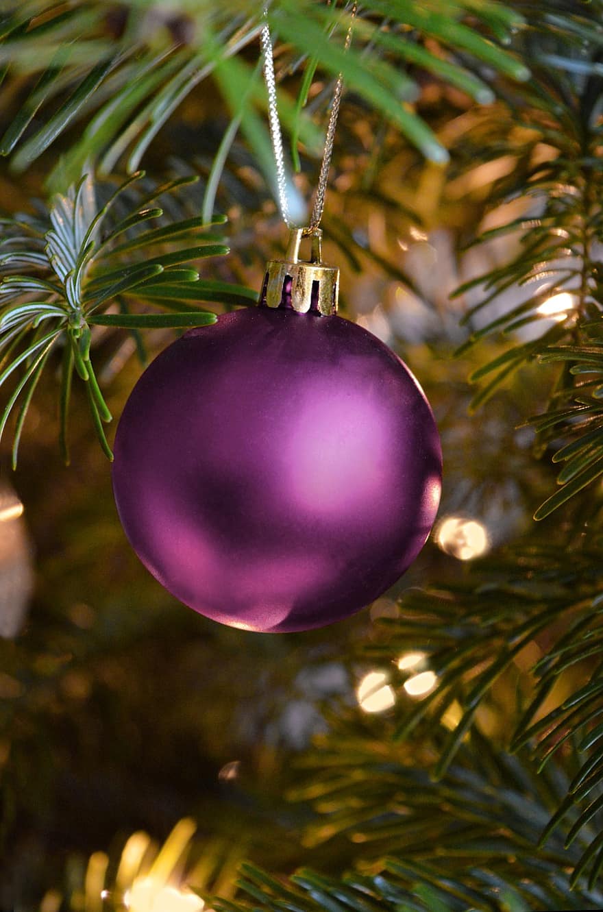 decorazioni natalizie, Natale, palla viola, palle di natale, decorazioni per alberi di Natale, rami di abete, luci, festa di Natale, ornamento di Natale, motivo natalizio, dicembre