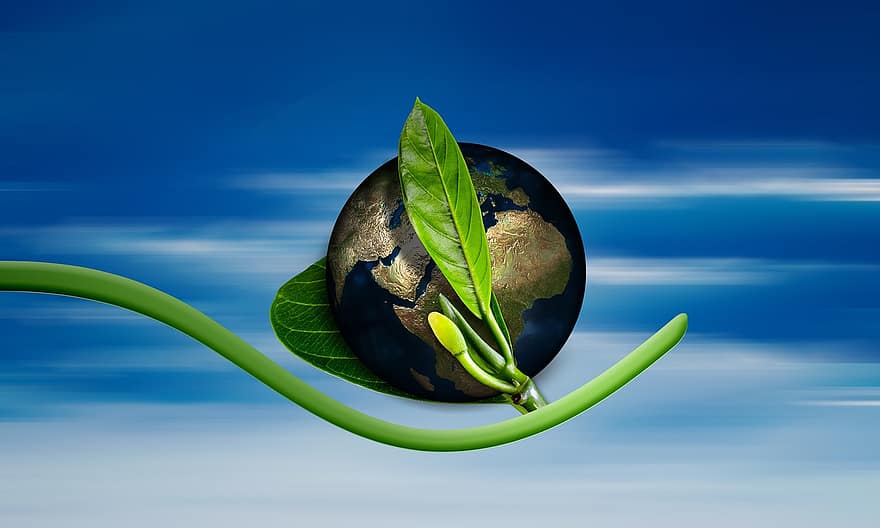 föld, földgolyó, születés, új, felmerülhet, környezet, környezetvédelem, környezetbarát, levél növényen, zöld, növény