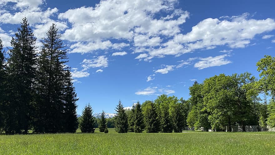 Prado, arvores, panorama, campo, grama, natureza, céu, nuvens, Salzburgo