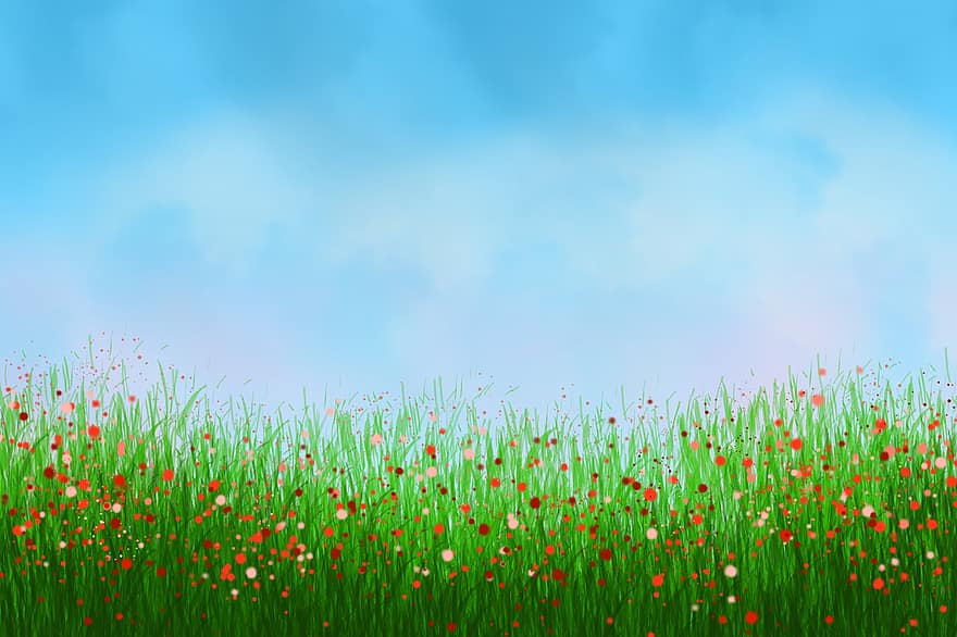 bakgrund, natur, himmel, växter, blommig, blommor, vår, dekorativ, gräs, sommar, bakgrunder