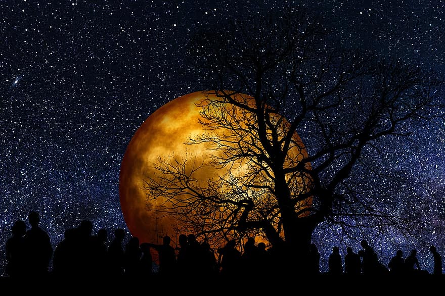 bulan, pohon, kelompok, bayangan hitam, malam, emas, orang-orang, sinar bulan, gelap, backlit, senja