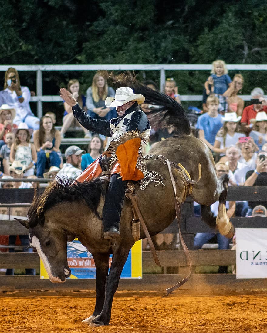 rodeo, cowboy, hest, equine, konkurranse, riding, sport, idrettsløp, konkurransedyktig sport, jockey, kulturer