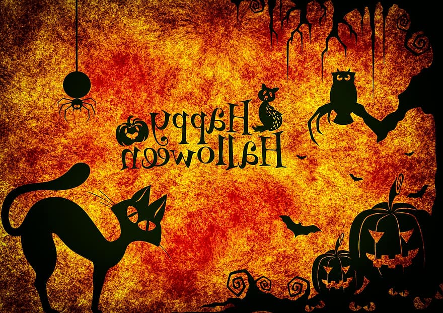 halloween, kat, mærkelig, surrealistisk, atmosfære, uhyggelig, græskar, edderkop, ugle, silhuet