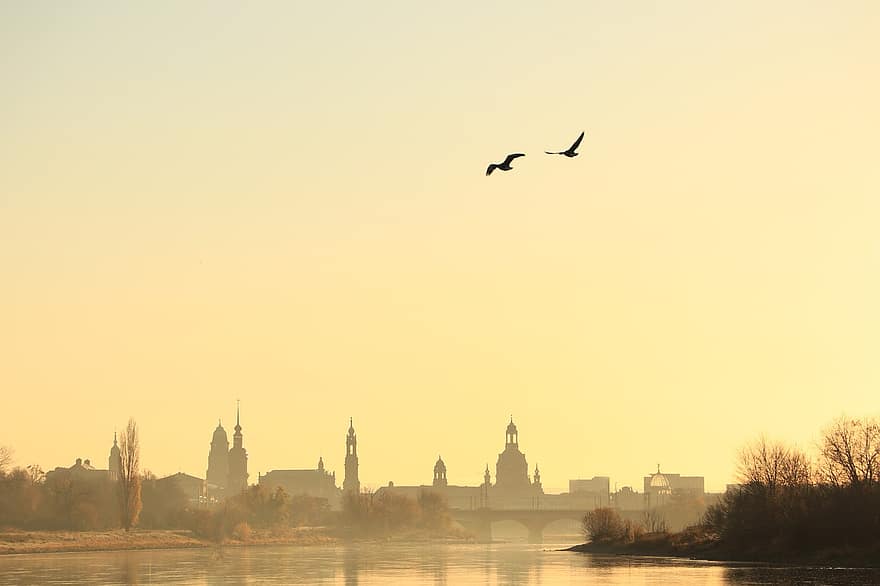 Dresden, sabah, şafak, peyzaj, kuşlar, Kent, gün batımı, akşam karanlığı, Su, mimari, ünlü mekan