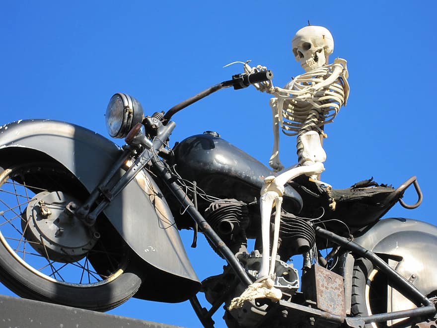 motocicletă, schelet, bicicletă, os, motocicleta, craniu, vehicul, călărie, mort, motociclist, roată