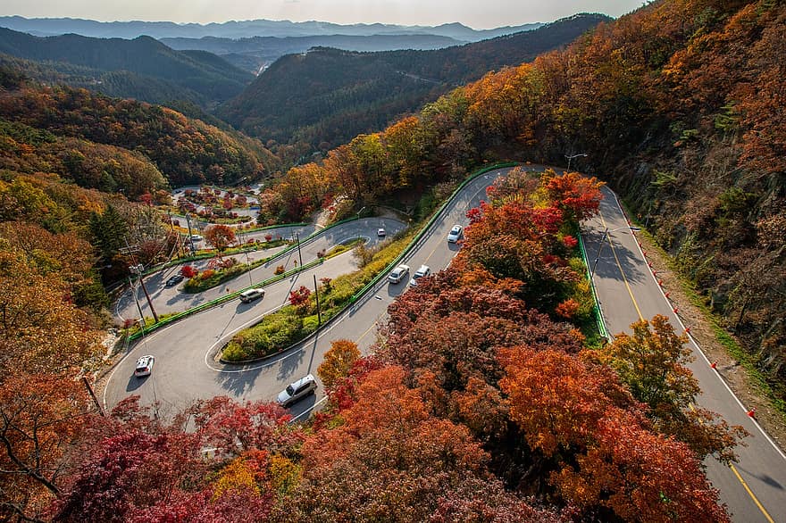 jalan, jalan raya, kendaraan, lalu lintas, melengkung, gunung, hutan, pohon, Daun-daun, musim gugur, daun maple