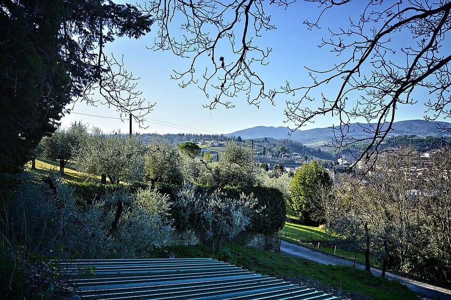 Villas, Bridge, Hills, River, Olive Trees, Cypress Trees, Panoramas, Tuscany, Landscape, tree, grass