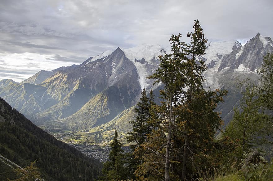 Alperne, bjergrige, topmøde, spids, træer, Skov, nåletræer, nåletræ, nåletræ skov, bjergkæde, bjerge