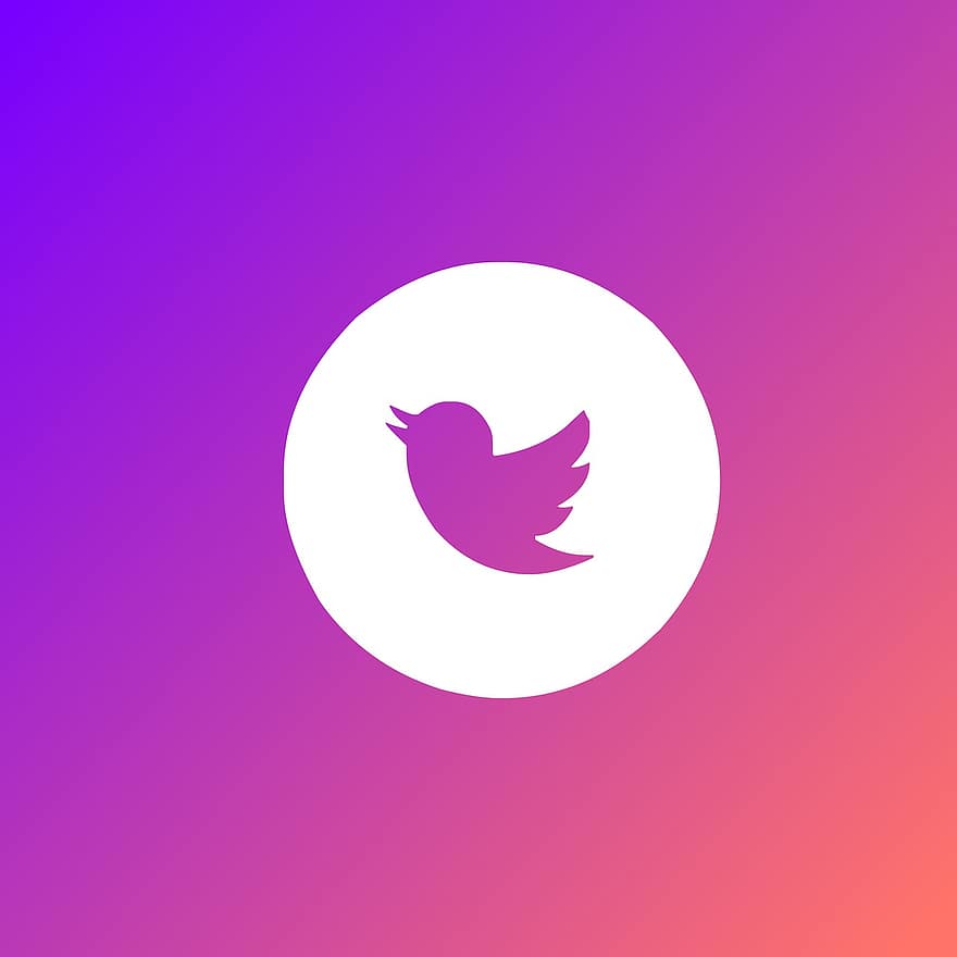 gorjeo, logo, icono, pájaro, símbolo, Símbolo de Twitter, épico, diseño de logo, diseño, red social, medios de comunicación social