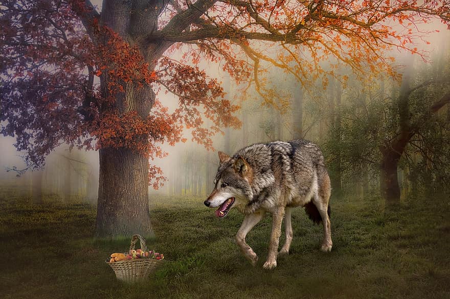 cuento de hadas, fondo digital, lobo, cesta, niños, fantasía, otoño, bosque, depredador, perro, animales en la naturaleza
