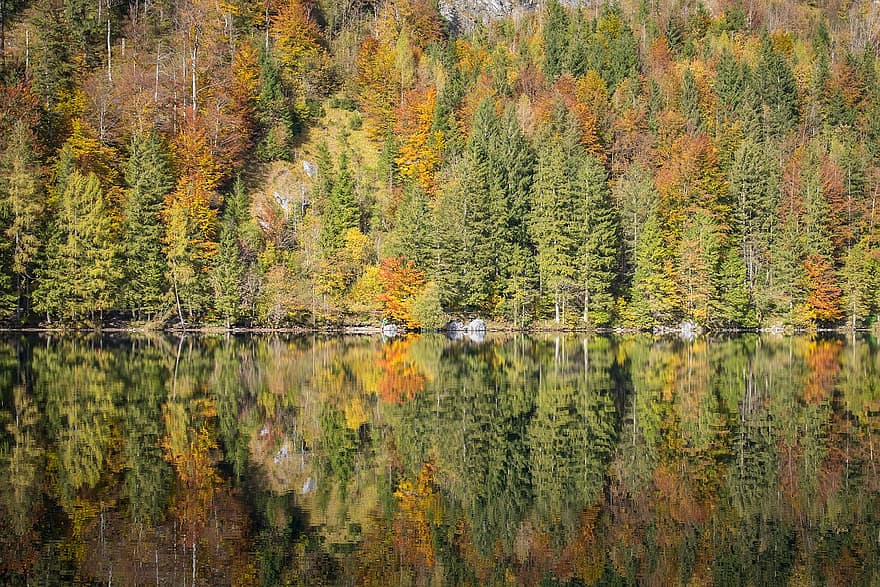 езеро, дървета, есен, отражение на водата, вода, природа, панорамен, околност