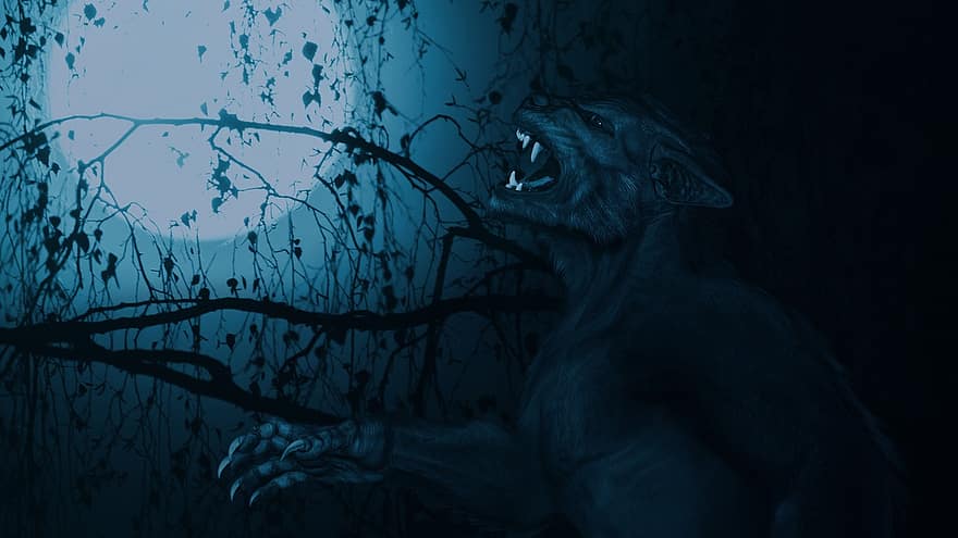 weerwolf, verschrikking, beest, nacht