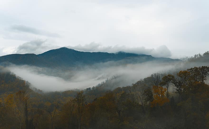 montanhas, névoa, arvores, floresta, madeiras, bosques, inverno, panorama, nebuloso, caminhada, neblina