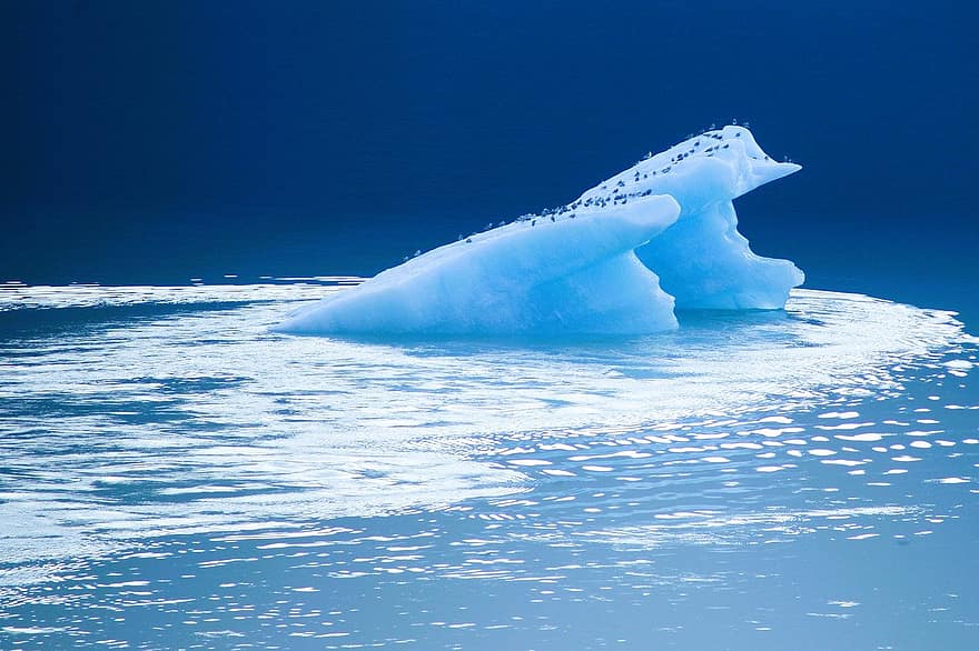 ledynas, jūros, vandenynas, vanduo, pobūdį, ledkalnis, mėlyna, ledas, sniegas, žiemą, arktinė