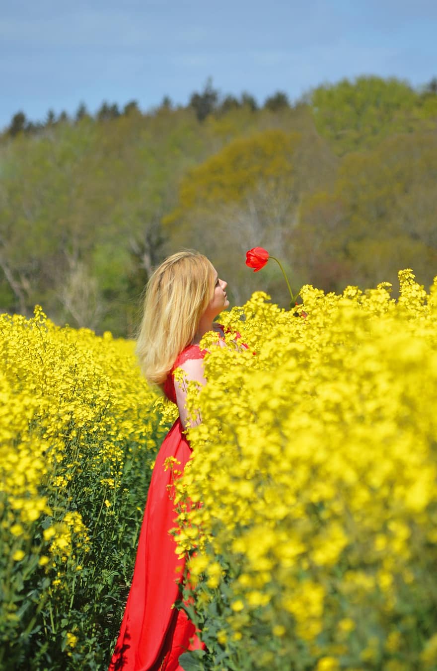 Frau, Rapsfeld, draußen, Raps, Vergewaltigungsblüten, rotes Kleid, gelbe Blumen, Natur, Sommer-, Blume, Gelb