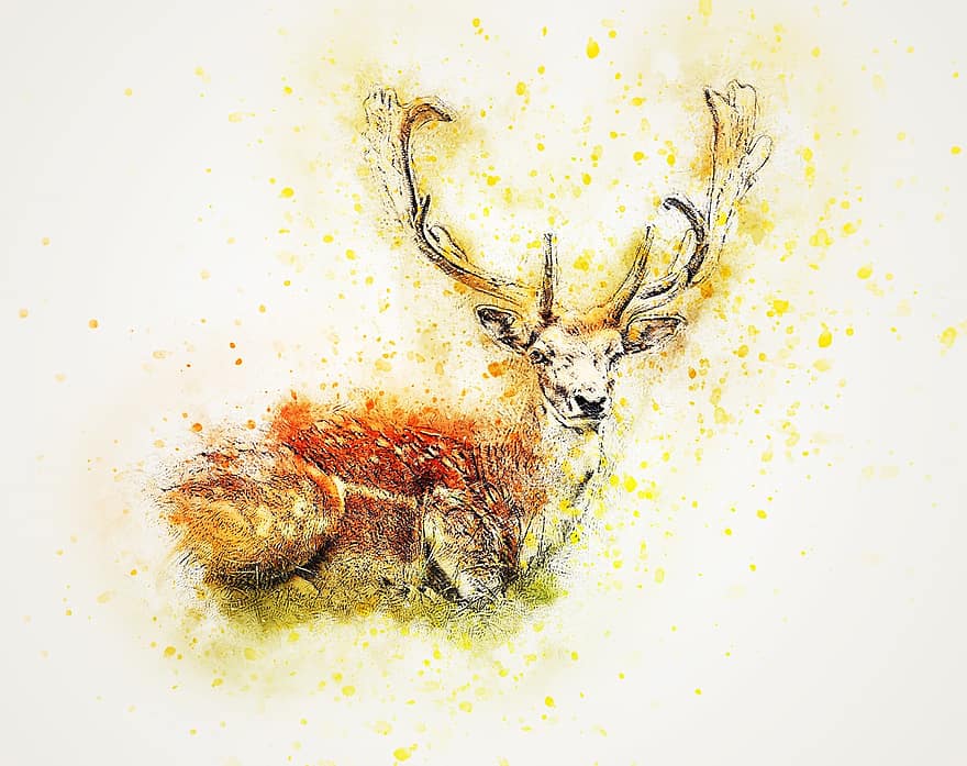 hjort, ligger ned, træ hjorte, dyr, abstrakt, akvarel, natur, årgang, kunstnerisk, T-shirt, aquarelle