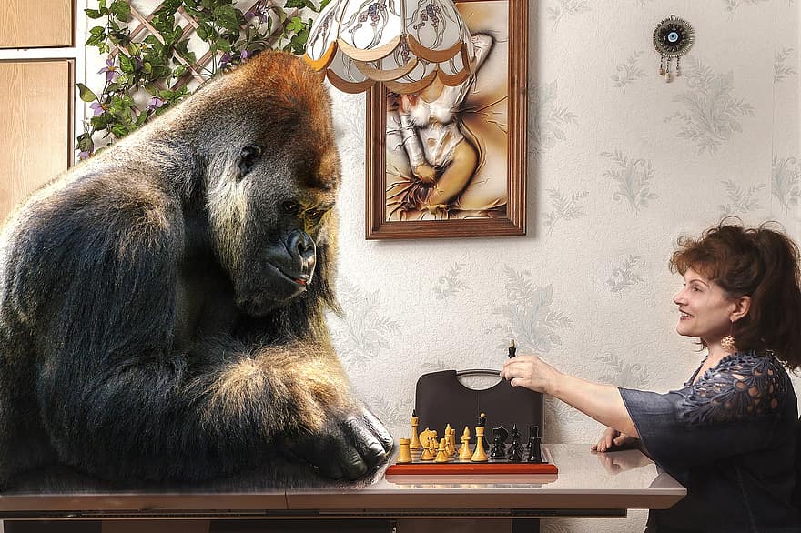 schaakspel, vrouw, aap, bordspel