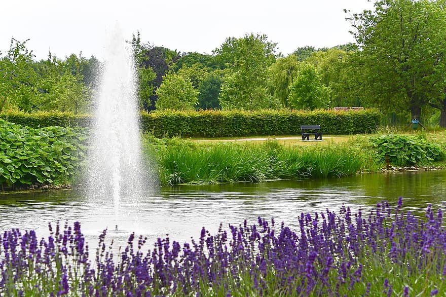 Park, Fountain, Pond Fountain, Bench, Rest, Enjoy, Lavender, Fish Pond, Quiet, De-stress, Birdsong