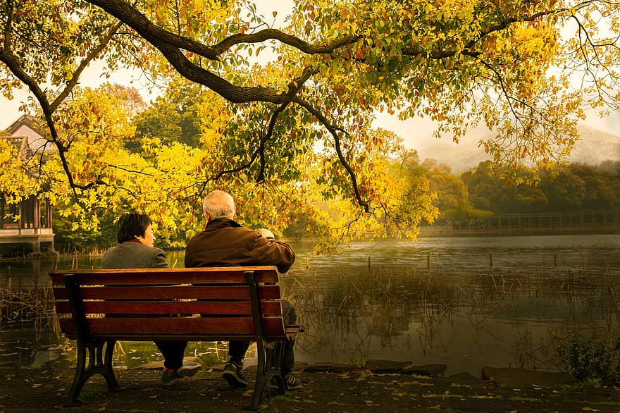 езеро, двойка, пейка, старата двойка, дървена пейка, парк, езерце, дървета, възрастен, възрастна двойка, заедно
