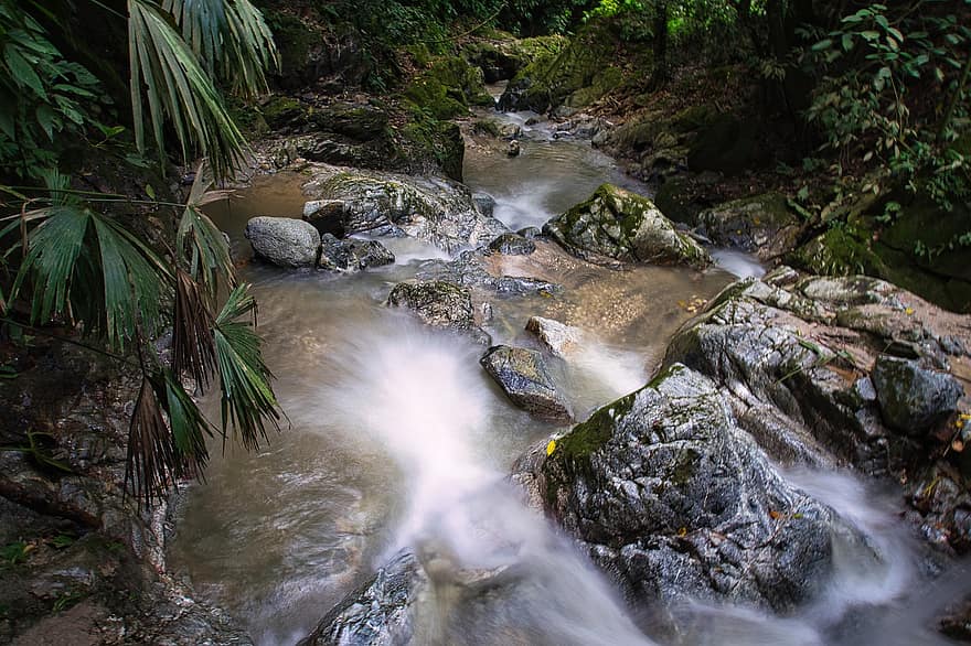 River, Stream, Colombia, Mountains, Nature, Sierra Nevada, South America, forest, tropical rainforest, water, rock