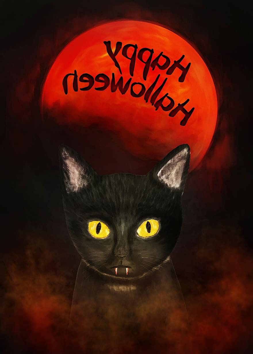 котка, вампир, луна, мъгла, страшен, зловещ, чертеж, Хелоуин