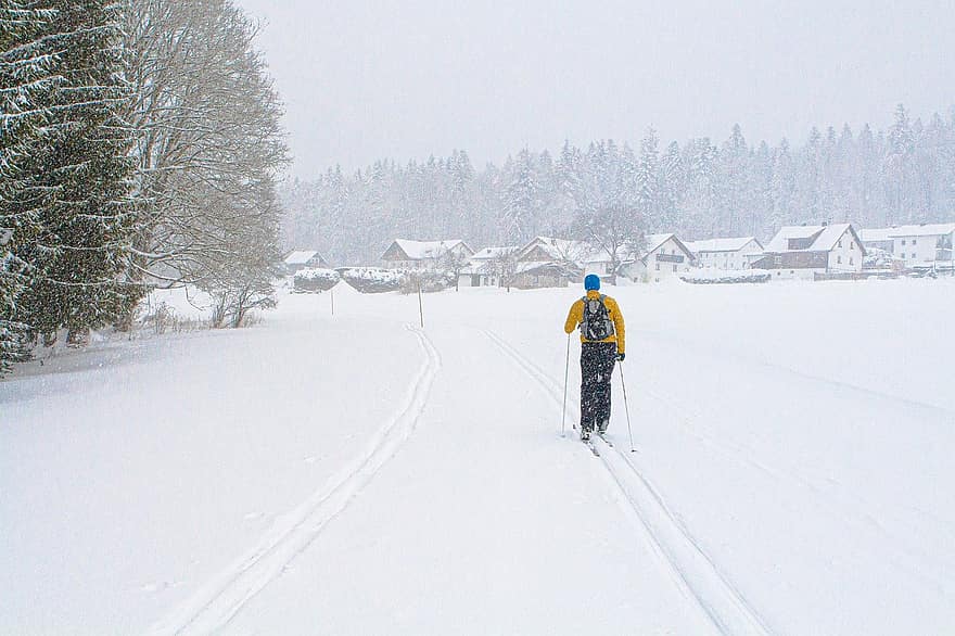 ski, neige, ski de fond, sports d'hiver, faire du ski, piste de ski de fond, hiver, sport, Hommes, Montagne, aventure