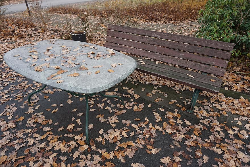 őszi hangulat, asztal, bank, levelek, magányos, esik, őszies, szomorú, ősz, levél növényen, faipari