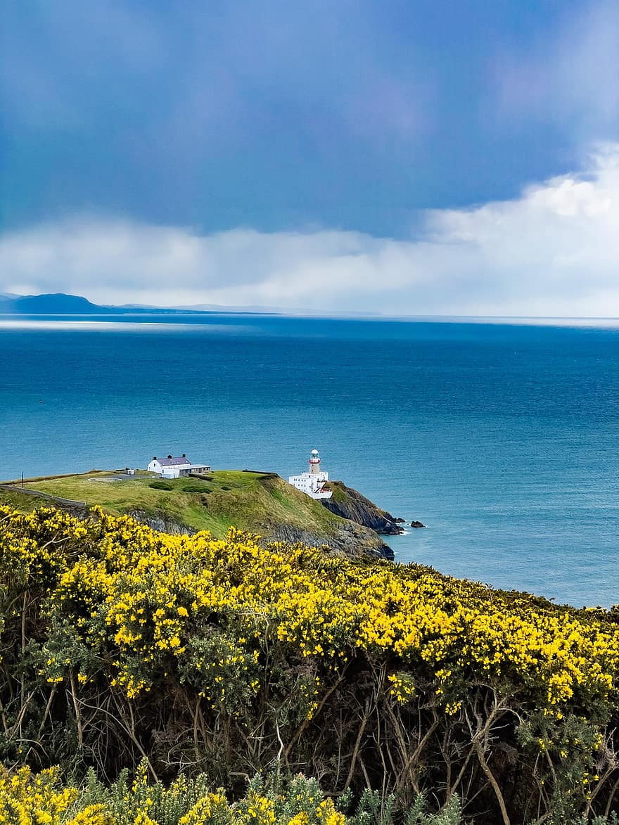 море, скеля, маяк, узбережжі, горизонт, небо, води, краєвид, природи, Ірландія, квіти