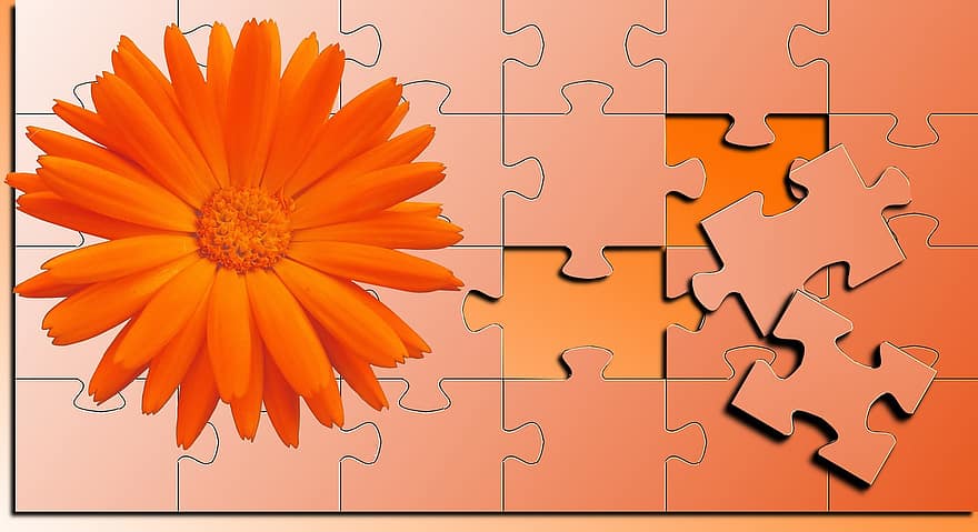 forma isolata, puzzle, fiore, arancia, colore, sfondo, occhiolini, geometria