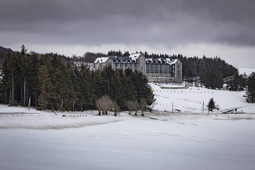 hotell, Royal Aubrac, vinter, snø, fjell, tre, skog, landskap, årstid, furutre, is