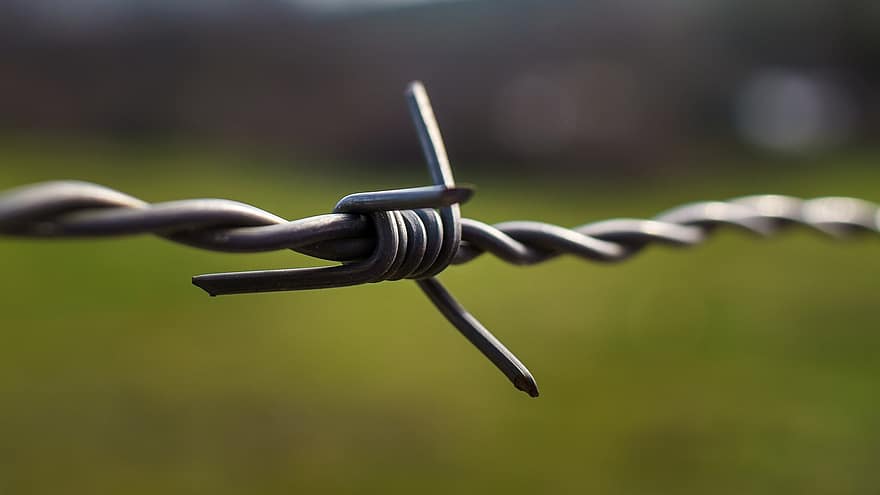 fil barbelé, câble, clôture, nœud, acier, barrière, Sécurité, frontière