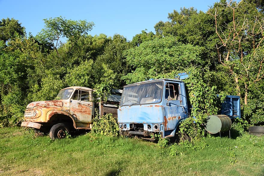 camion, abbandonato, alberi, ruggine, giunca, vecchio, rotto, auto, scena rurale, mezzi di trasporto, veicolo terrestre