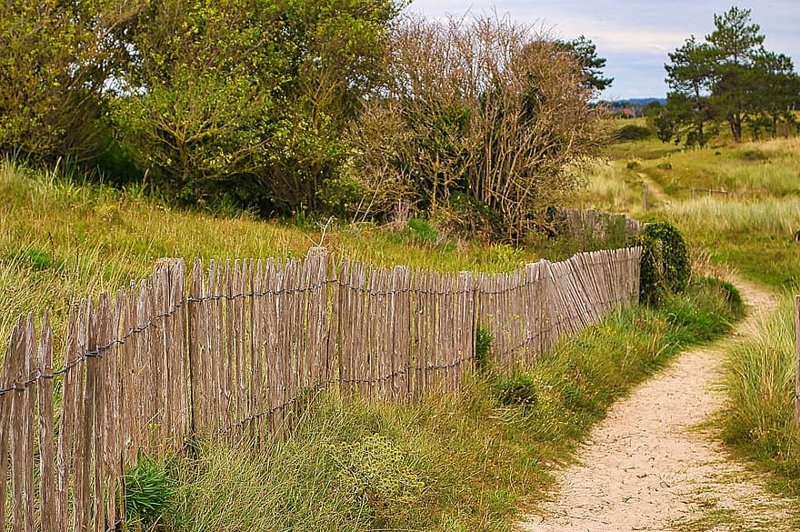 Trail, Path, Mont Saint Michel, Landscape, Normandy, France