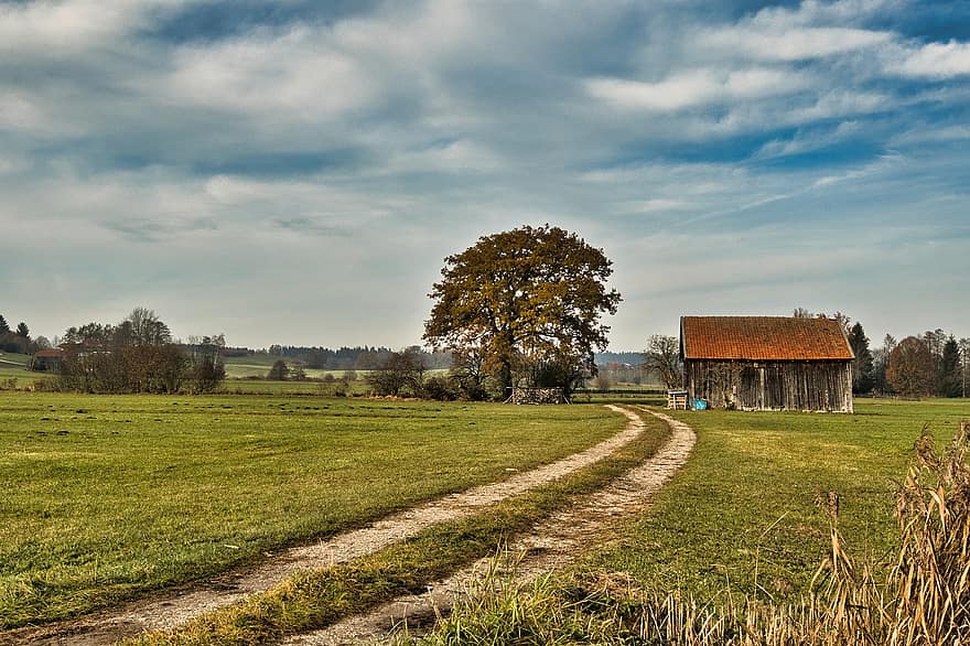 Dirt Road, Field, Barn, Path, Countryside, Rural, Country Road, Fall, Tree, Landscape, Nature