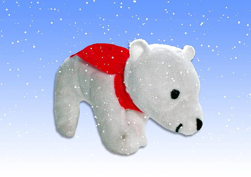 Polar Bear, Bear, Predator, Animal World, Animal, White, Sweet, Teddy, Stuffed Animal, Cuddly, Cute
