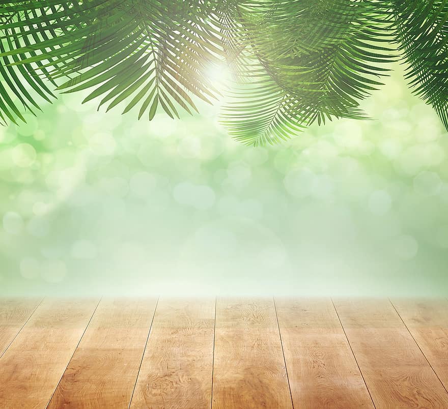 palmbomen, hout, tropisch, bladeren, bomen, zomer, groen, exotisch, tafel, bespotten, kopie ruimte