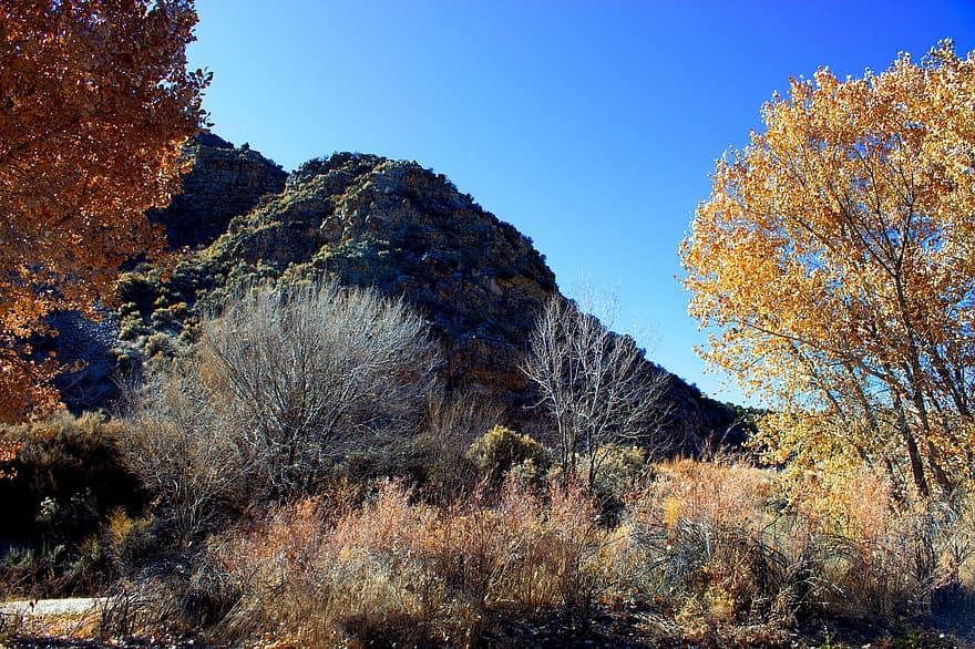 rocce, alberi, collina, autunno, Monti Taos, albero, paesaggio, foresta, stagione, giallo, foglia